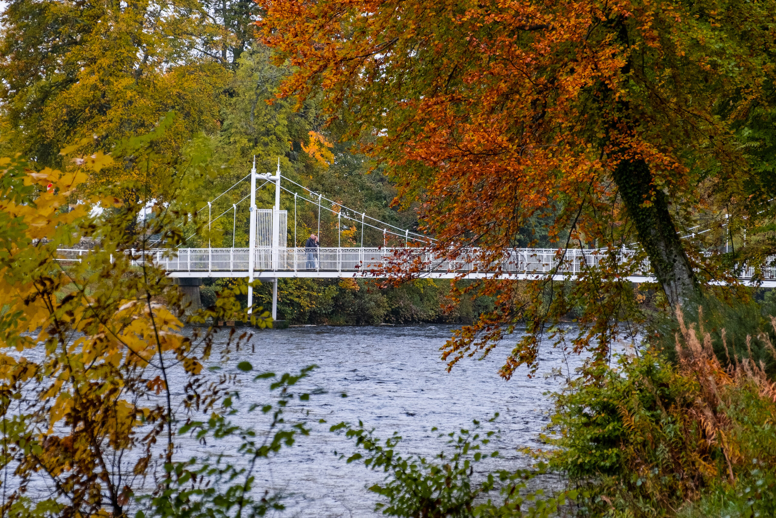 Viln Autumn On River Ness 2 Scaled Beautiful walks along the river ness from the palace hotel