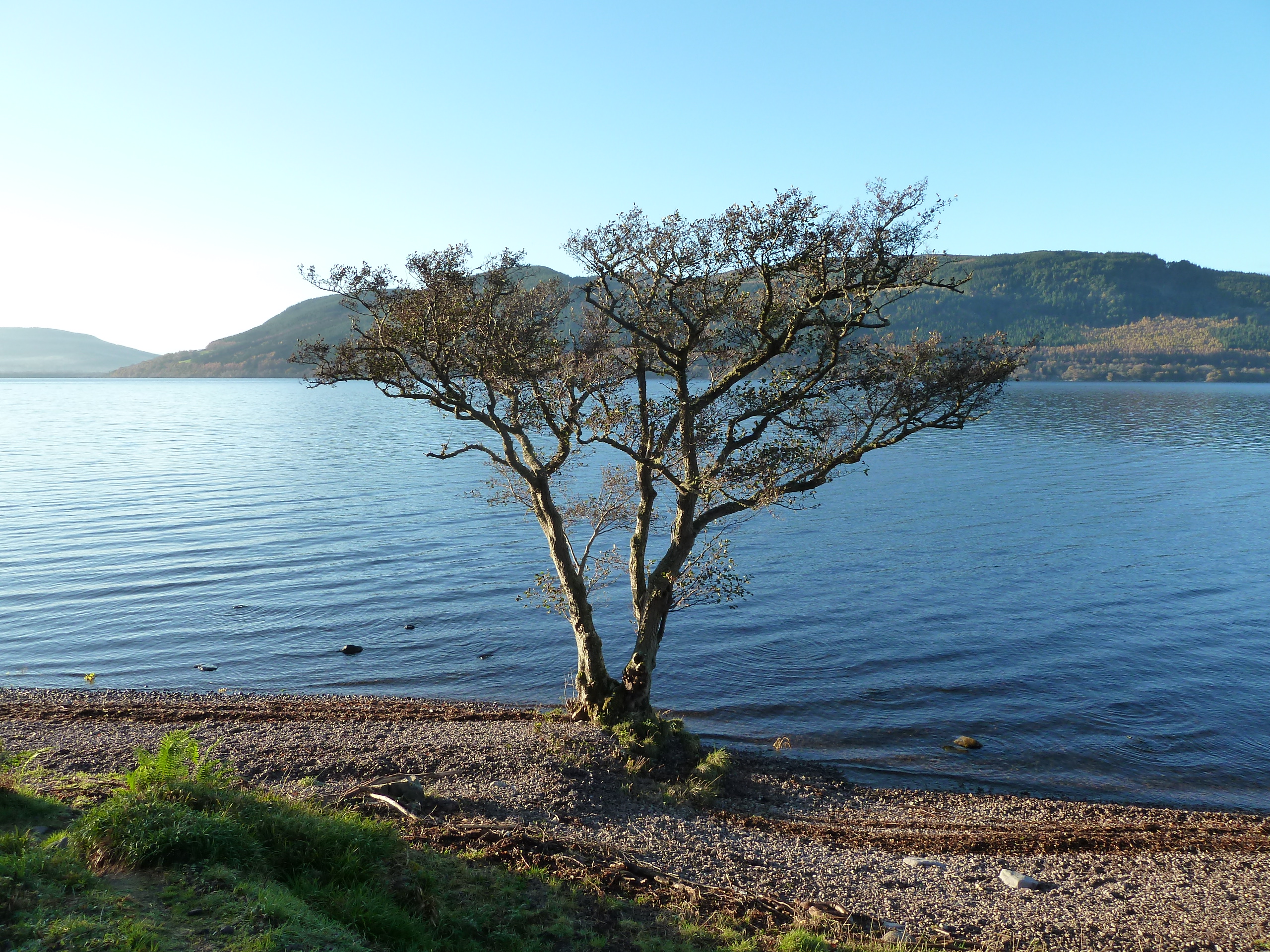 Loch Ness Shore Calm water on the shore of loch ness