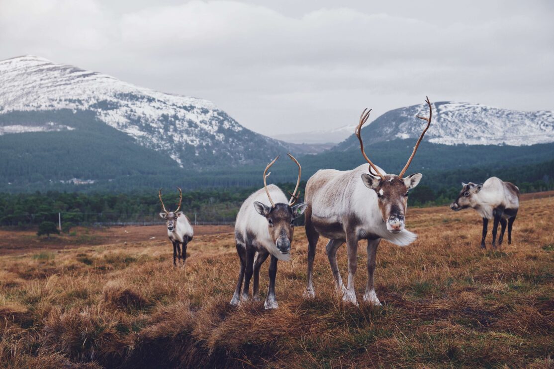 Joe Green Lkwo0Pfwsts Unsplash 2 Joe green lkwo0pfwsts unsplash 2