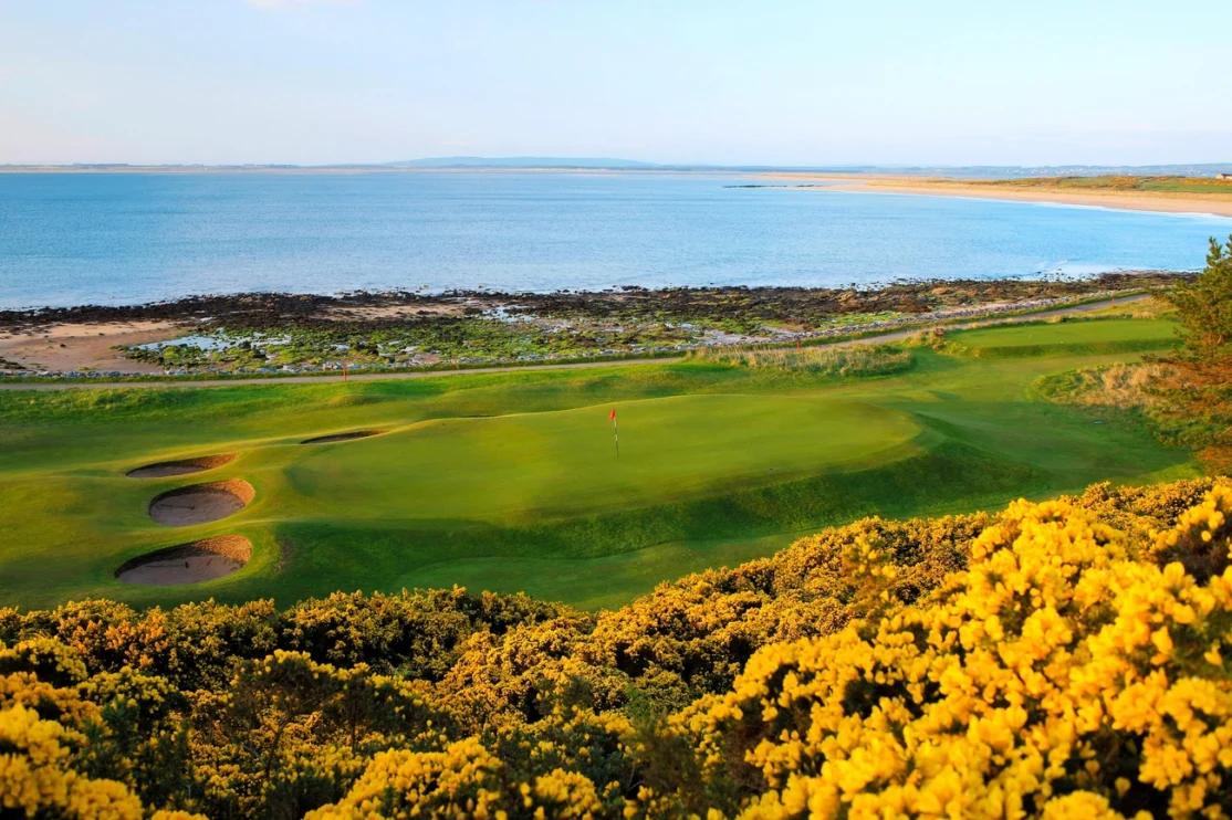 Royal dornoch golf club
