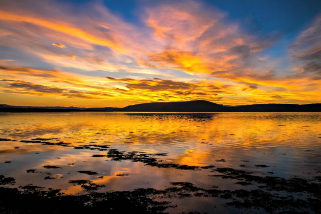 Gordon bain photography