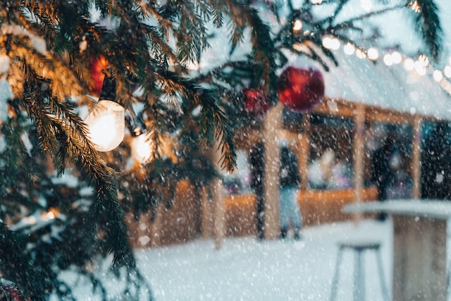 640 Mary Ray Inpgc6Ntyzu Unsplash Photo by mary ray inpgc6ntyzu unsplash