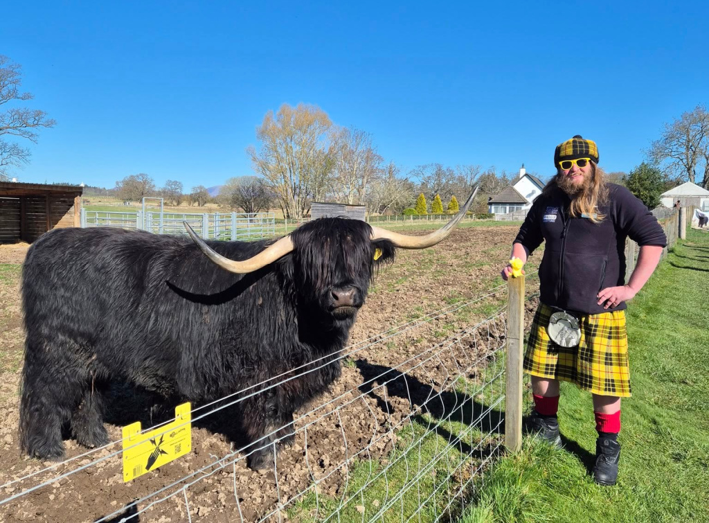 Jamie the Highland Cow with Haggis Adventures sign at Robertsons of Beauly