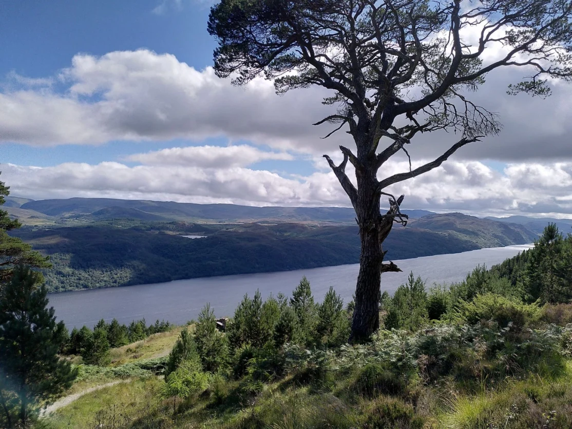 Creag dhearg viewpoint trail