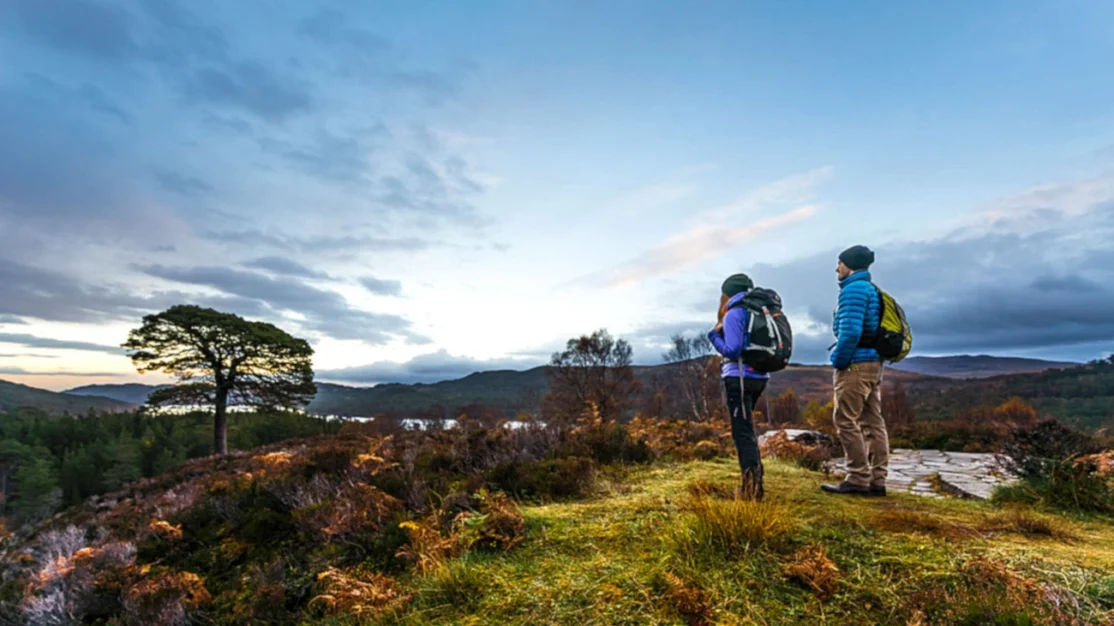 Loch bran wildlife walk